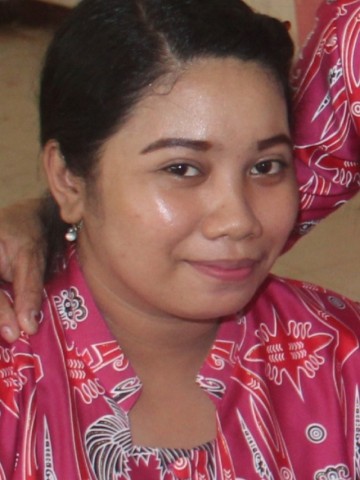 Sarlin